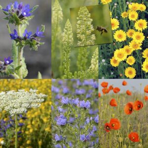 BM IZ 03 inheems bloemenmengsel solitaire bijen