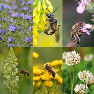 BM IZ 04 inheems bloemenmengsel insectenhotel