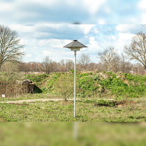 Afbeelding van een til voor spreeuwen