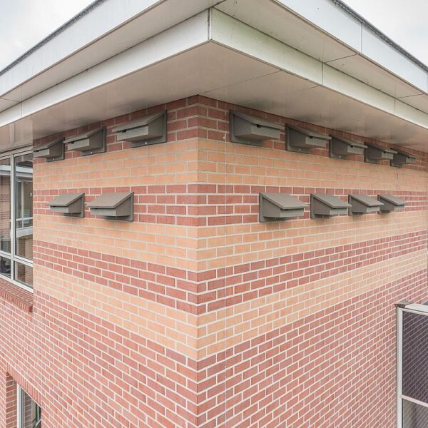 Afbeelding van een gebouw met meerdere gevelkasten van Vivara Pro voor de gierzwaluw, een koloniebroeder