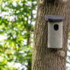 NK KA 02 Holenduif nestkast | 3 Vivara Pro - Nestkast kauw en holenduif