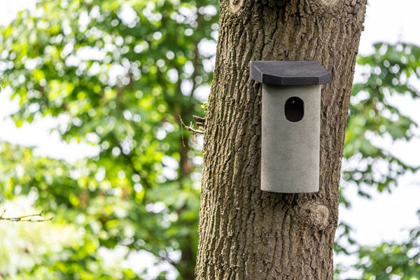 Vivara Pro - Nestkast kauw en holenduif
