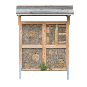 IP WA 02 Insectenwand