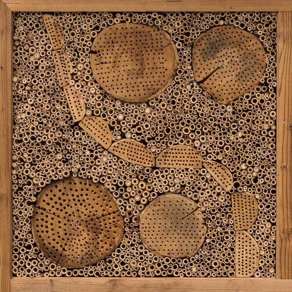 IP VU 01 Insectenwand vulling | 2 IP VU 01 Insectenwand vulling | 1