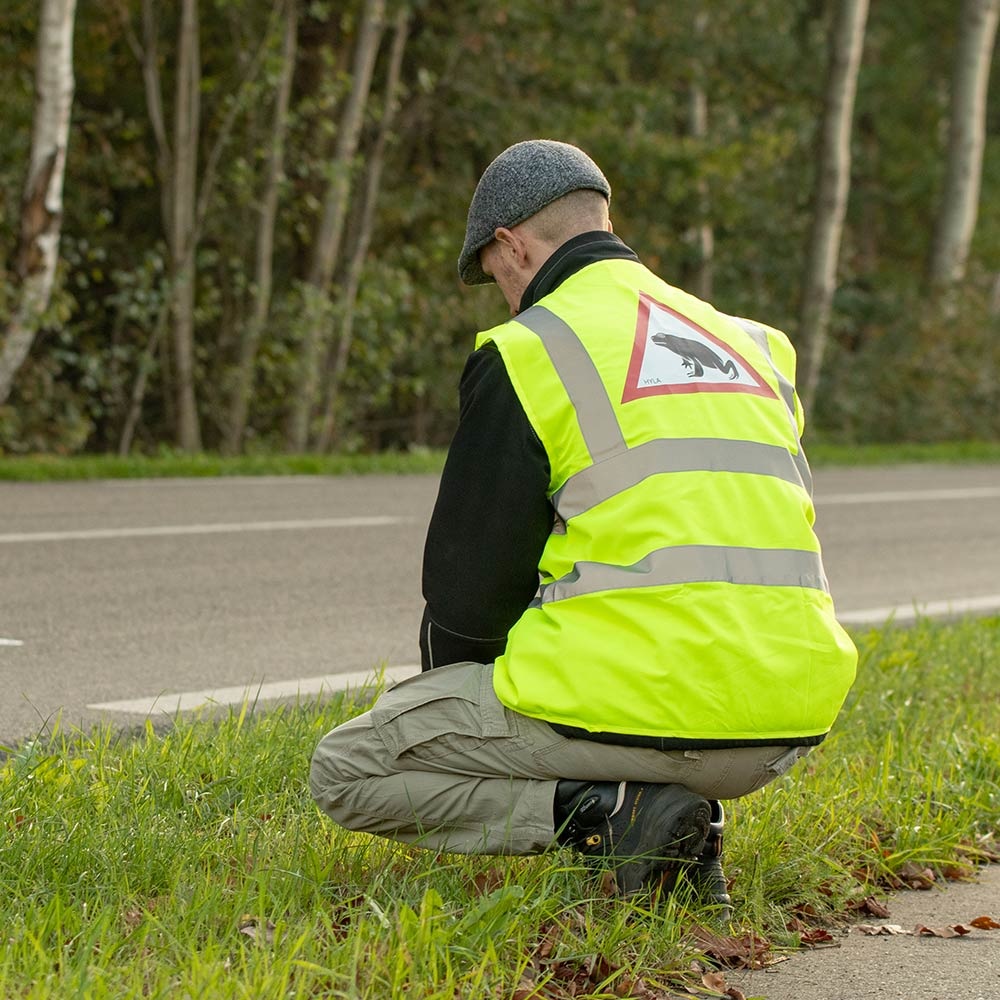 Ecoloog bij weg Afbeelding van een ecoloog naast een weg.