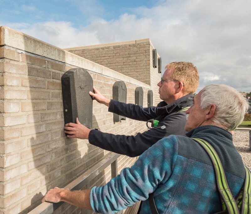 Bescherming van Vleermuizen tijdens Isolatiewerkzaamheden | 4