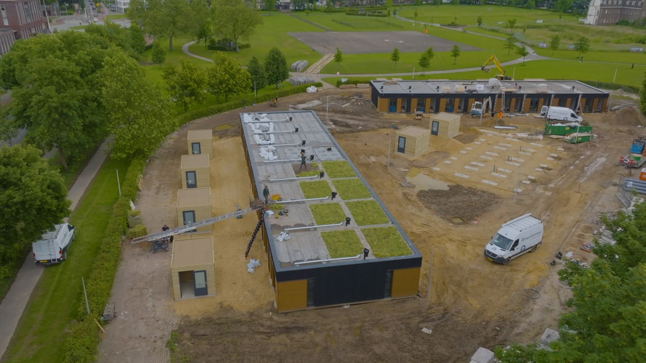 Inheemse planten met Dakbloemenweide | 3