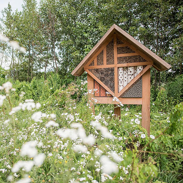 leefomgeving-natuurlijke-vijanden-vivarapro Creëren geschikte leefomgeving natuurlijke vijanden