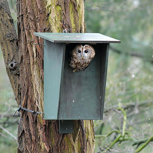 natuurlijke-wering-met-faunavoorzieningen Inzetten natuurlijke wering met faunavoorzieningen