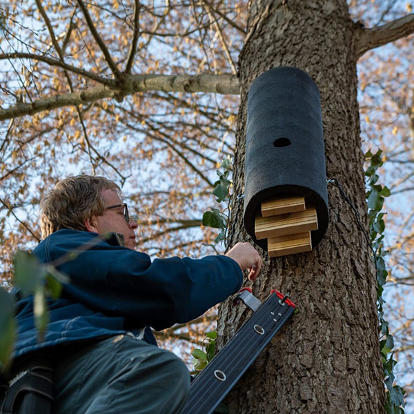 onderhoud-faunavoorzieningen Onderhoud faunavoorzieningen