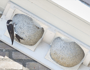 Gevelkasten Afbeelding van een