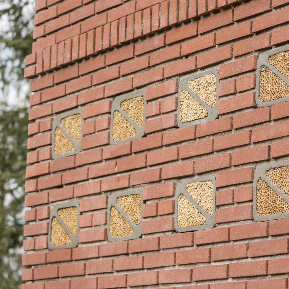 92056_IP-BL-02-Insectenblok_PPA5067 1000x1000 Soortenmanagementplan