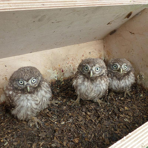 vivarapro-totaaloplossingen A propos de nous | 1