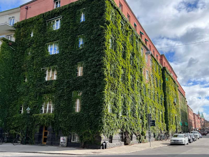 Green facade Image of a green facade. A classic example of nature-inclusive construction. Location; somewhere in the Netherlands.