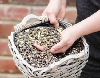 Ontwerp zonder titel