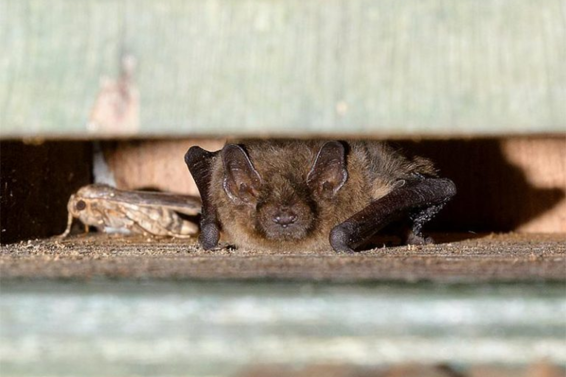 MijnSMP dé standaard software voor SMP beheer | 4