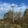 RV ZP 01 Raptors perching Post | 11