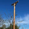 RV ZP 01 Raptors perching Post | 7