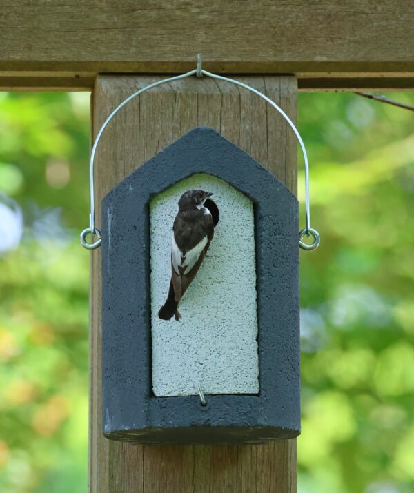 Vogel geland in een nestkast gemaakt van WoodStone®, oftewel houtbeton van Vivara Pro