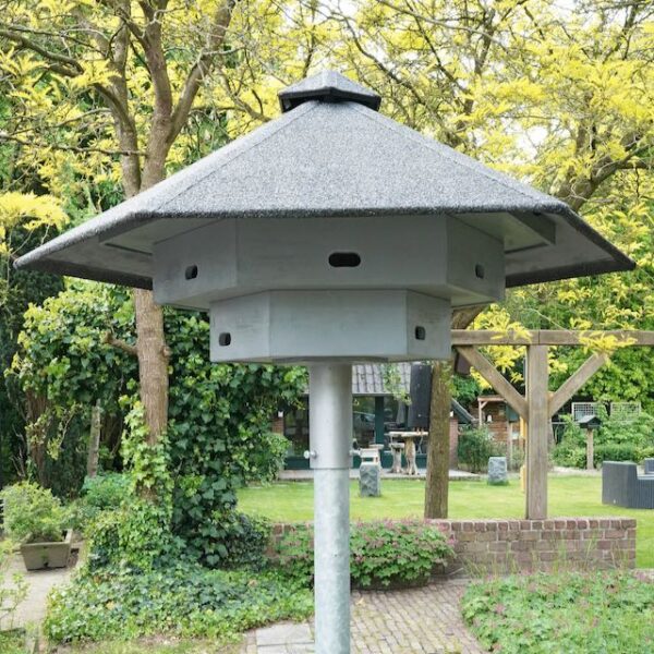 GT GZ 02 Gierzwaluwtil compleet