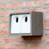 IB MU 08 House sparrow built-in nest box | 13