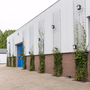 Gevelrekken voor groen