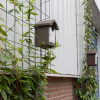 Greenframe