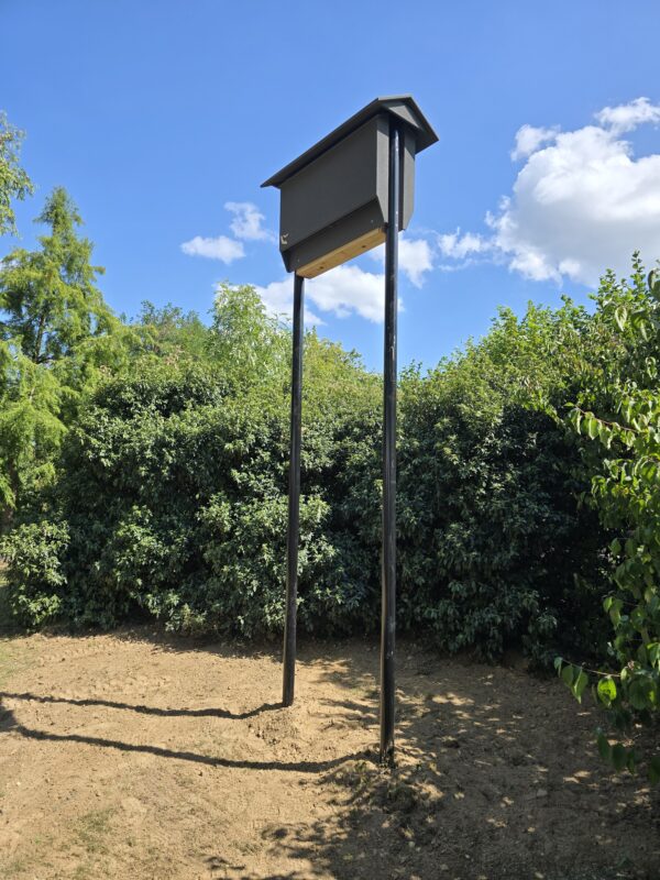 Paalkast set voor vleermuizen.