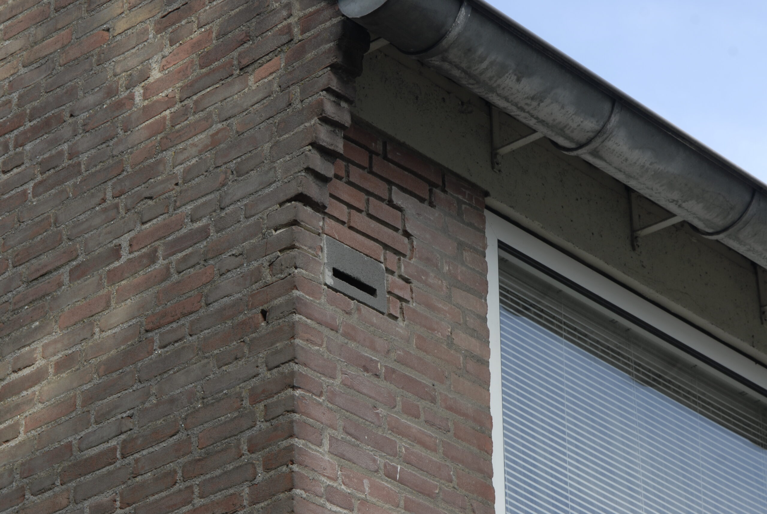 afbeelding Renovatie | 1