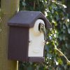 NK SE 08 Nest box oval | 9