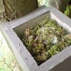 ZK MU 02 Caja refugio para lirón careto | 17